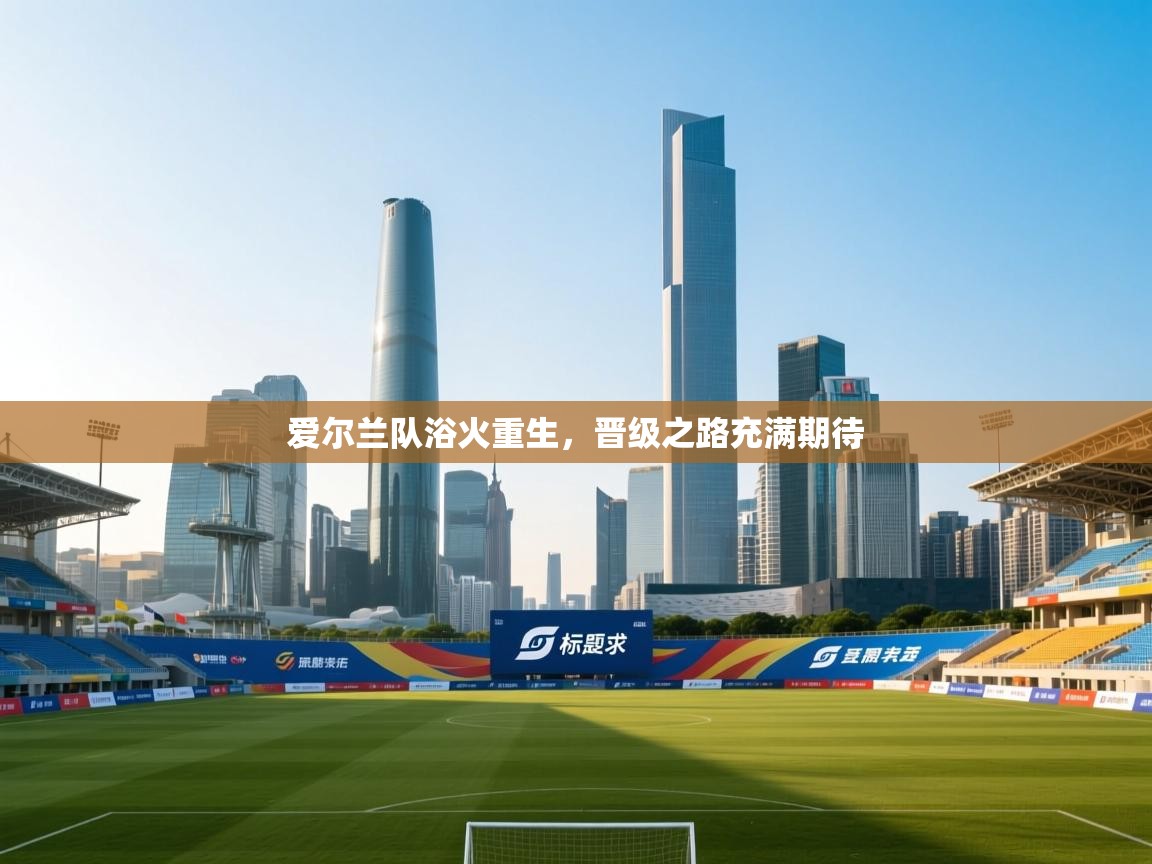 爱尔兰队浴火重生，晋级之路充满期待  第2张